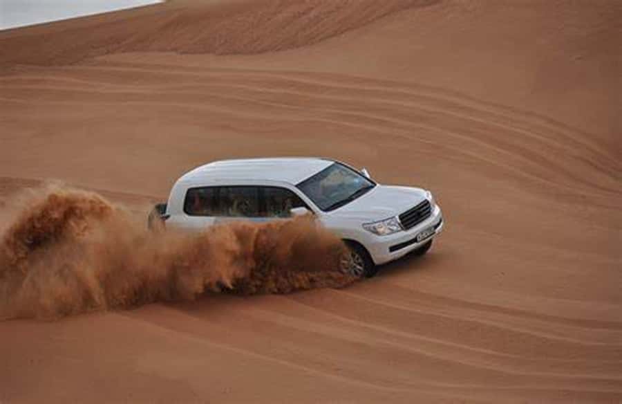 Doha Desert Safari: Sandboarding, Camel Ride & Swimming Fun - Who Should Book This (and Who Should Skip It)