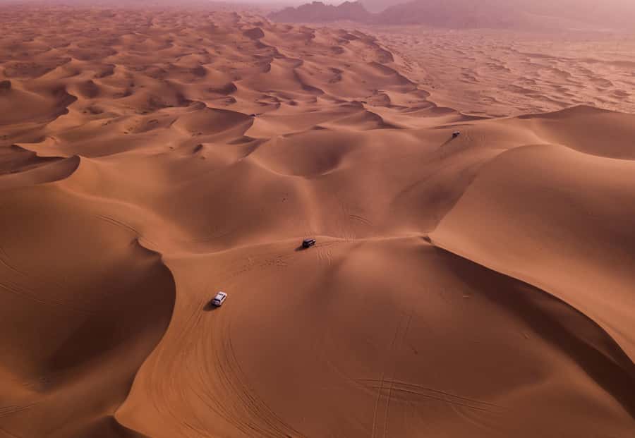 Doha: Desert Safari, Sandboarding, Dune Bashing & Inland Sea - Inland Sea Dune Bashing: The Main Event in a 4x4