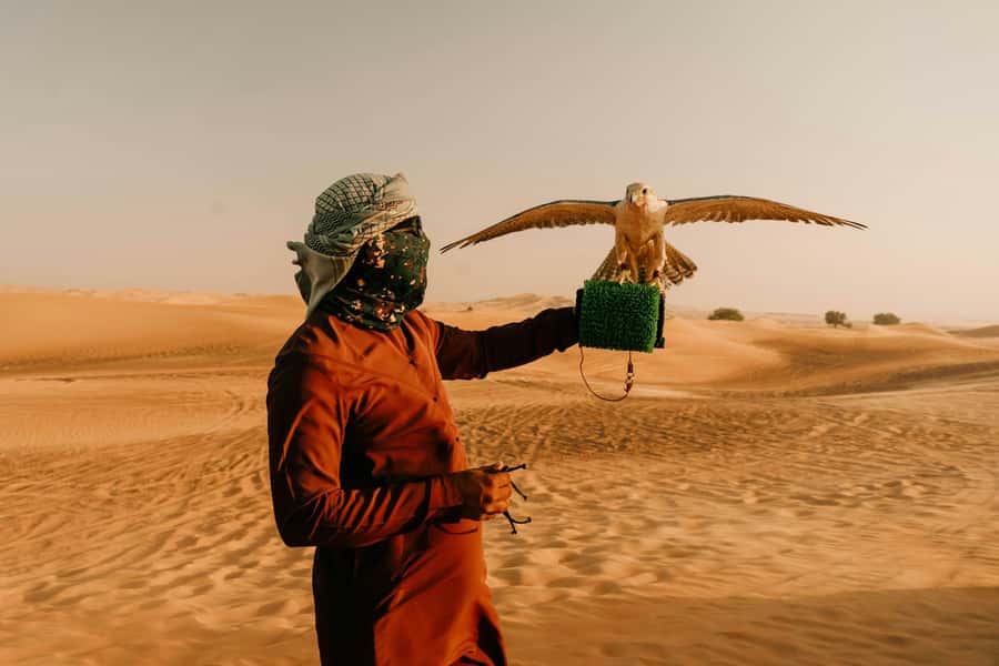 Doha: Desert Safari, Sandboarding, Dune Bashing & Inland Sea - Who This Tour Fits Best (and Who Might Want a Different Style)