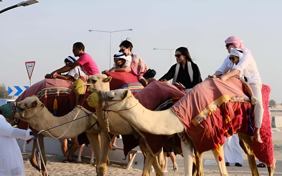 Doha: Desert Safari, Sandboarding, Dune Bashing & Inland Sea - Price and Value: Why $22 Feels Fair Here