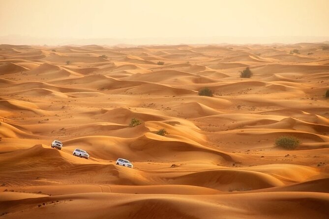 Doha: Desert Safari With Quad bike ,Camel Ride And Sand Boarding - Falcon show: watch it, then plan for photos