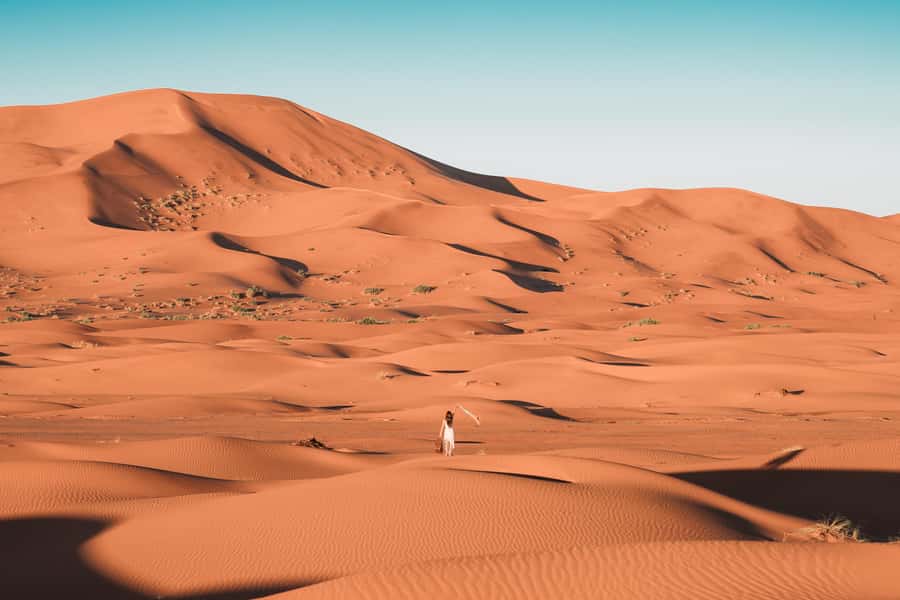Doha: Desert Safari with Quad Bike, Sandboard & Camel Ride - Camel and Falcon Time: Bedouin Stops That Don’t Feel Like a Sales Pitch