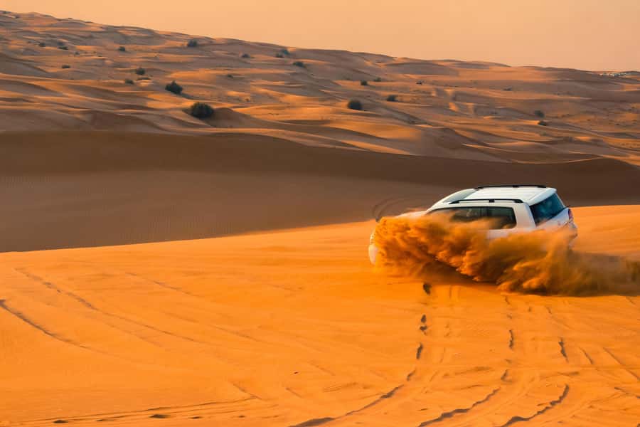 Doha: Desert Safari with Quad Bike, Sandboard & Camel Ride - Inland Sea at the Saudi Border: The Best View in the Whole Package