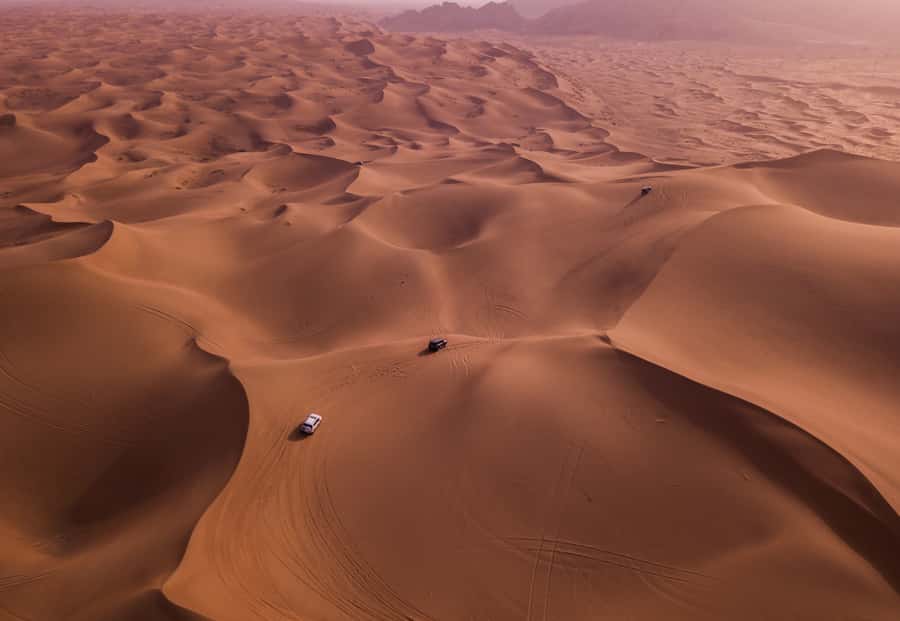 Doha: Desert Safari with Quad Bike, Sandboard & Camel Ride - Who This Safari Is For (And Who Should Skip It)