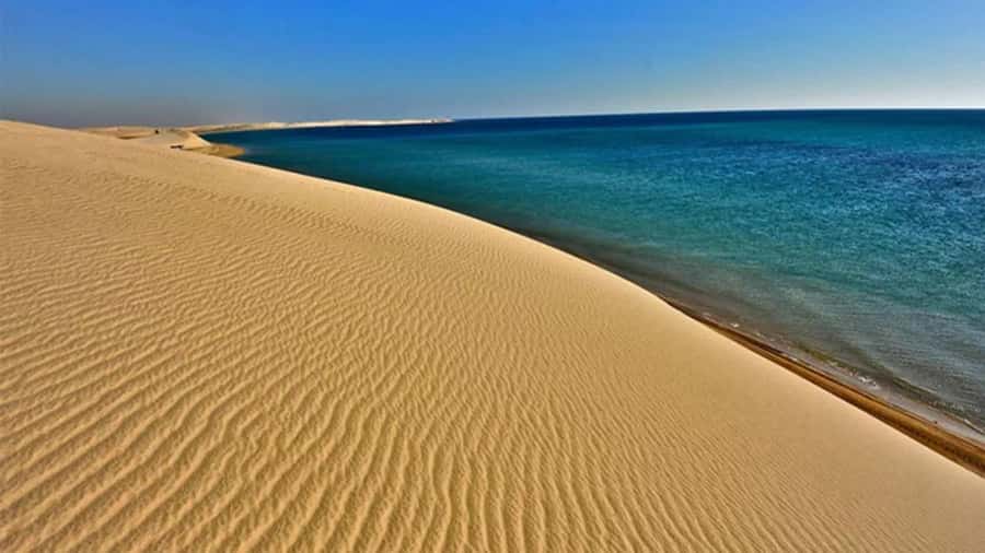 Doha: DesertSafari with Quad Bike, Camel Ride & Sandboarding - Quad bikes on the dedicated track: optional, but the 250cc detail is key