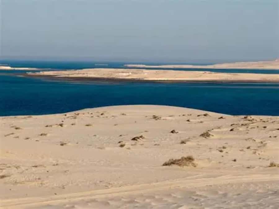 Doha: DesertSafari with Quad Bike, Camel Ride & Sandboarding - Camel ride stopover and Arabic tea: the calm break that keeps it real