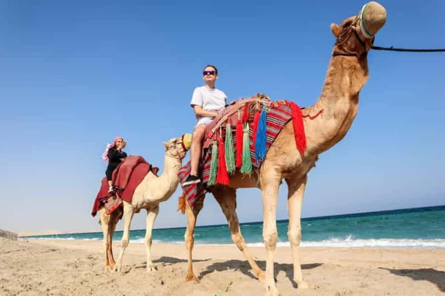 Doha: DesertSafari with Quad Bike, Camel Ride & Sandboarding - Practical tips to get the most out of your 4 hours