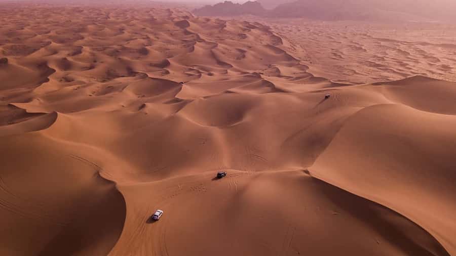 Doha: Dune Bashing Safari, Falcon, Camel, ATV, Sandboarding - Key Things You’ll Notice