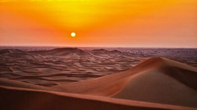 Doha: Dune Bashing Safari, Falcon, Camel, ATV, Sandboarding - Bedouin Tents, Camel Time, and Pet Falcons at Your First Stop