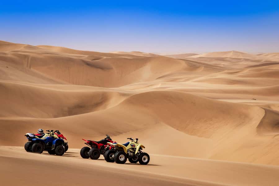 Doha: Dune Bashing Safari, Falcon, Camel, ATV, Sandboarding - What to Expect in Real Life: Timing, Guides, and Comfort