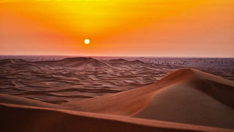 Doha: Dune Bashing Safari, Falcon, Camel, ATV, Sandboarding - Bedouin Tents, Camel Time, and Pet Falcons at Your First Stop