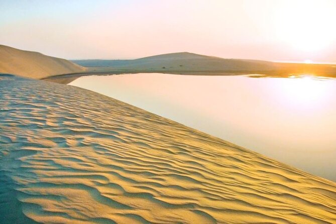 Doha : Full Day Desert Safari | BBQ Dinner | Inland sea - The heart of it: dune driving, camp atmosphere, and BBQ dinner