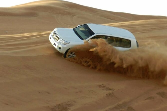 Doha Half Day Desert Safari Dune Bashing CamelRide & Sandboarding - Key things I’d mark on your plan