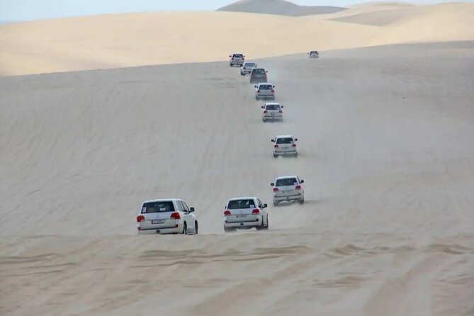 Doha Half Day Desert Safari Dune Bashing CamelRide & Sandboarding - Seafront-to-dunes: why this Doha half-day safari hits the right tempo