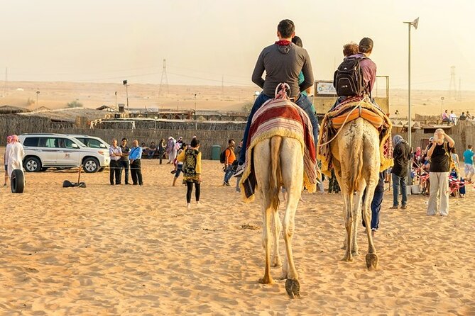 Doha Half Day Desert Safari Dune Bashing CamelRide & Sandboarding - Who should book this Doha desert safari (and who should skip it)