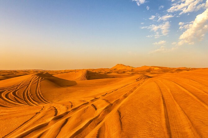 Doha Half Day Desert Safari with Camel Ride and Sand Boarding - Practical tips so your desert day stays easy