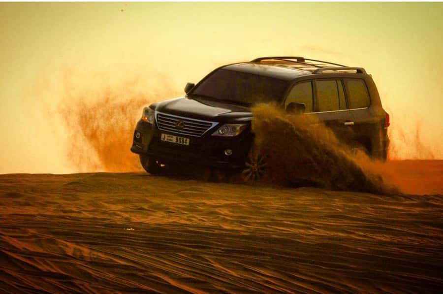 Doha: Half Day Layover Desert Safari, Camel Ride, SandBoard - Doha desert safari for short layovers: the timing that actually works