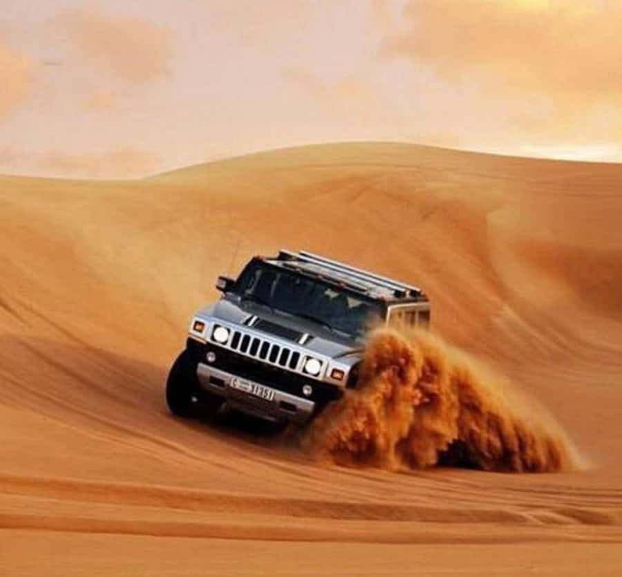 Doha: Half Day Layover Desert Safari, Camel Ride, SandBoard - Inland Sea Qatar: the surreal finish you’ll remember