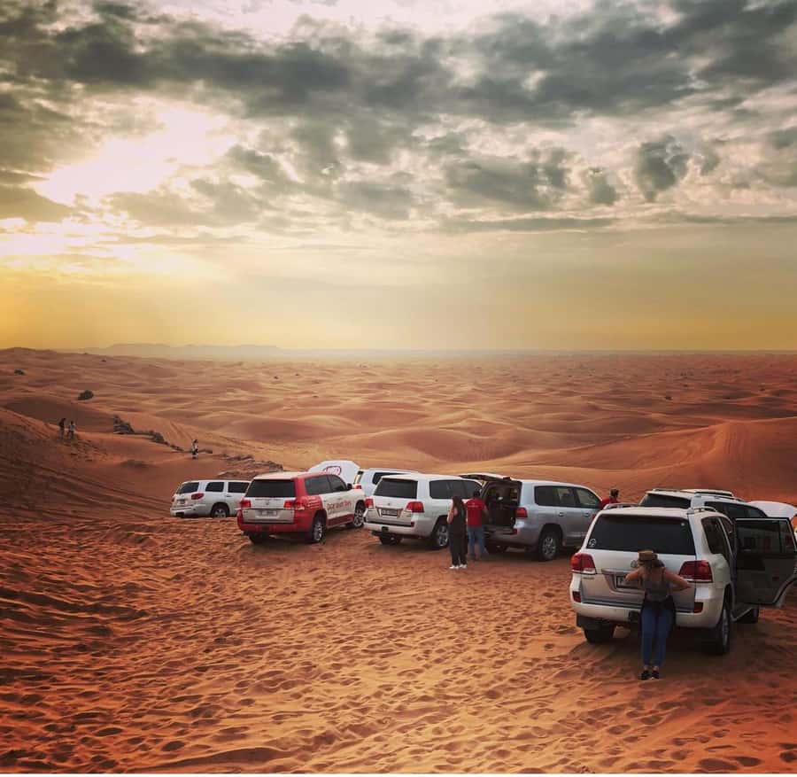 Doha: Half Day Layover Desert Safari, Camel Ride, SandBoard - Price and value: is $21 per person a smart deal?