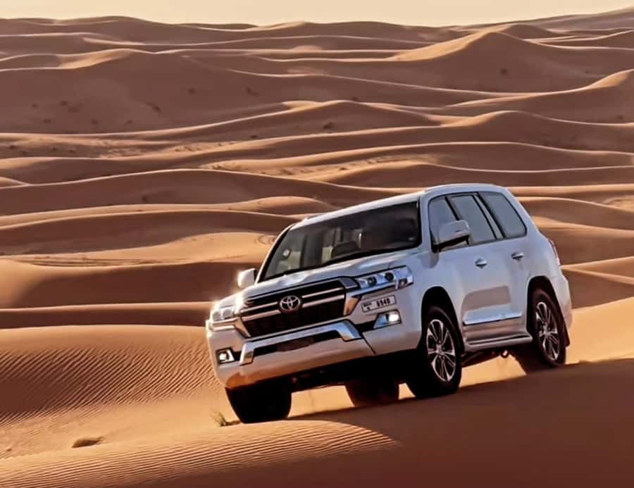 Doha: Half Day Layover Desert Safari, Camel Ride, SandBoard - Should you book this Doha half-day desert safari?