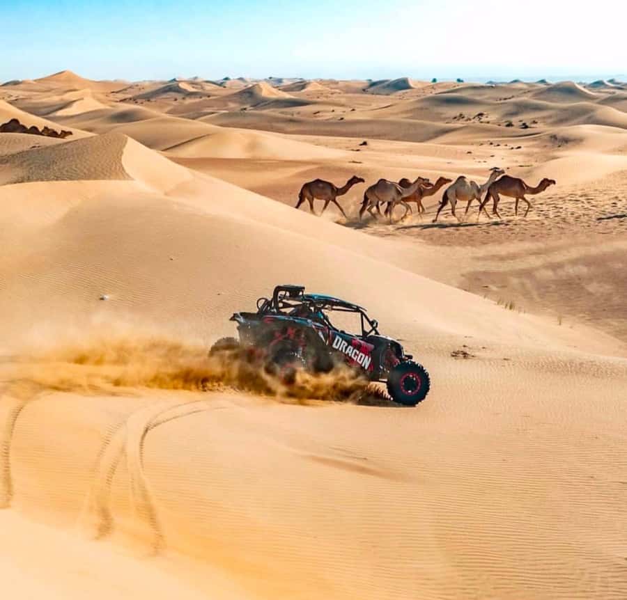 Doha: Inland Sea, Desert Safari, Camel Ride and Sandboarding - Practical fit: who this safari is for