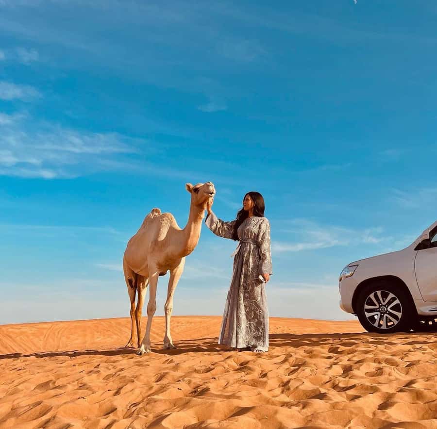 Doha: Inland Sea, Desert Safari, Camel Ride and Sandboarding - Should you book this Doha desert safari with Inland Sea and sandboarding?