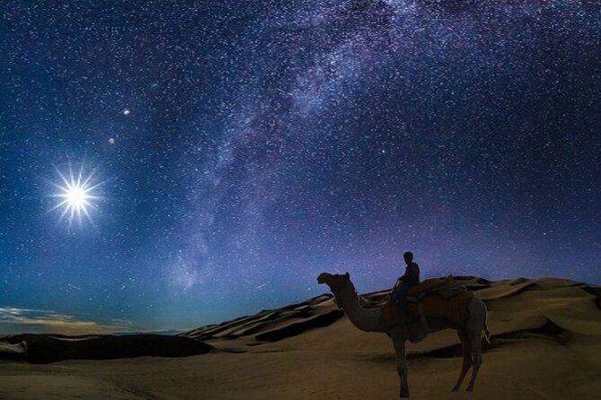 Doha Night Desert Safari Camel Ride Dune Bashing with Transfer - Sealine Beach and the local camel camp: short ride, big night energy
