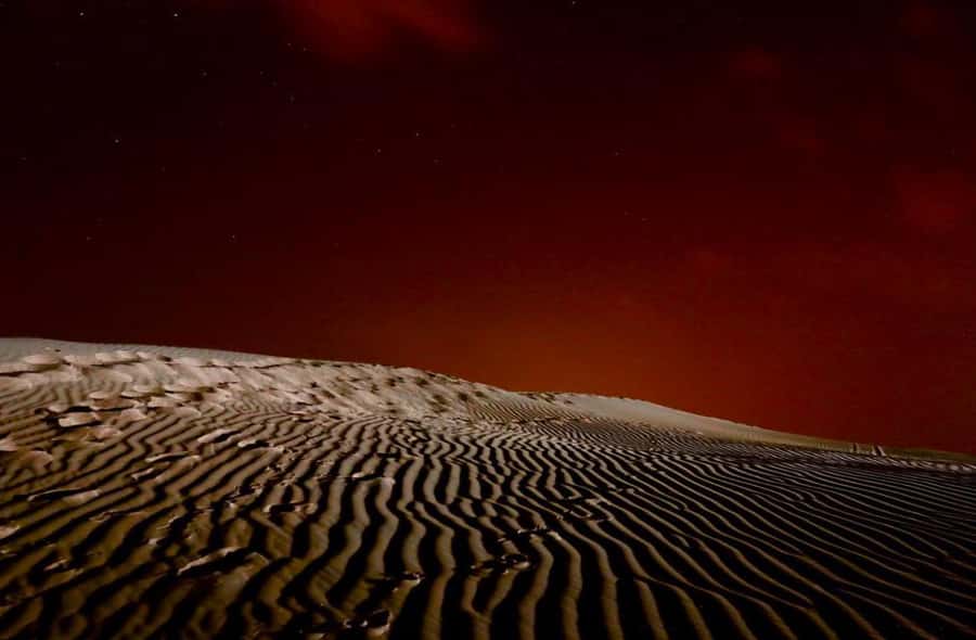 Doha Night Desert Safari Stargazing And Camel Ride - Why this Doha night safari is built around the sky