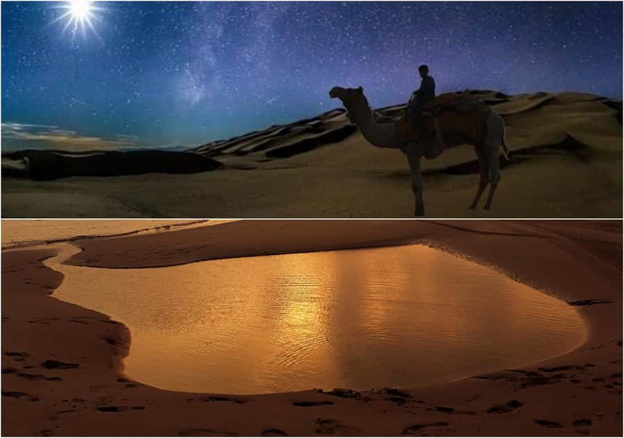 Doha Night Desert Safari Stargazing And Camel Ride - Stargazing and astronomy: how to make the sky moment actually pay off