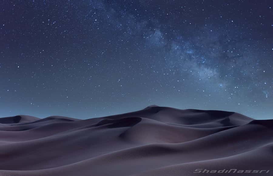 Doha Night Desert Safari Stargazing And Camel Ride - Price and value: what $24 gets you (and what it doesn’t)