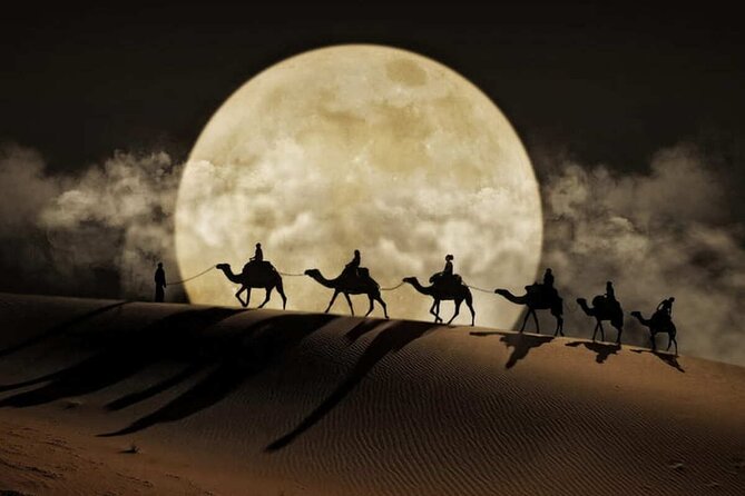 Doha Night Desert Safari Stargazing Dune Drive Camel Ride - Why this Doha night desert safari feels worth the effort