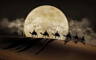 Doha: Night Desert Safari, Stargazing, Dune Driving &Inland - Pickup From Anywhere in Doha and Your 4x4 Ride Rhythm