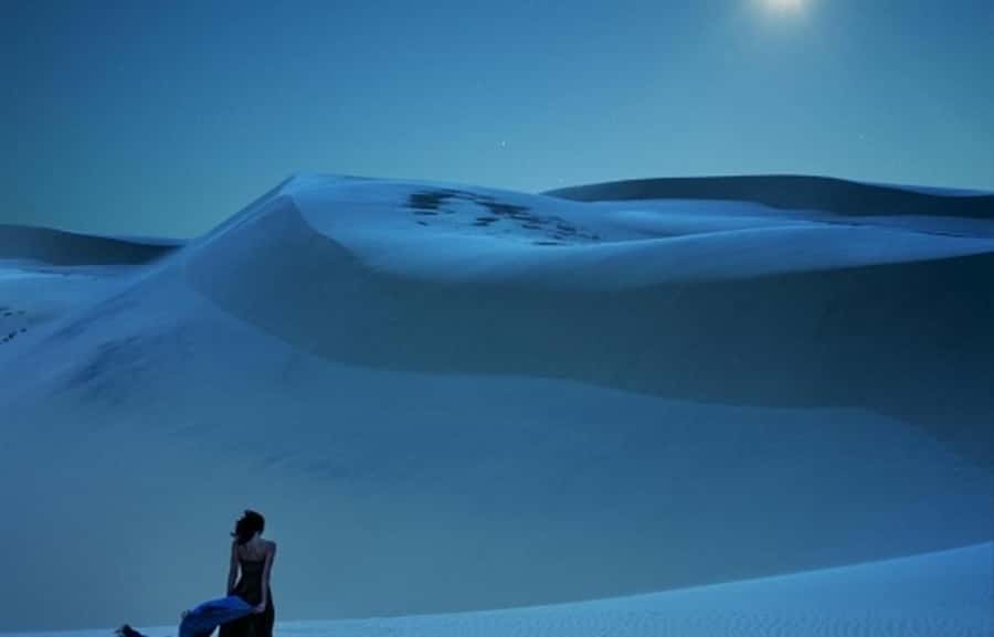 Doha: Night Desert Safari, Stargazing, Dune Driving &Inland - Inland Sea Views Toward the Saudi Border: The Calm Counterweight