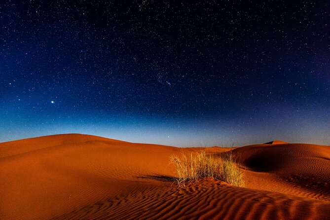 Doha Night Desert Safari, Stargazing, Photography، Relaxation - Price and value: is $77.50 worth a 4x4 + sandboarding + stargazing?
