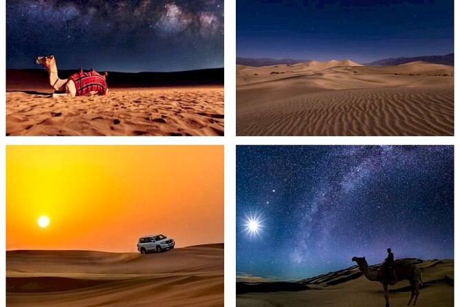 Doha : Night Desert Safari | Transit Safari | Camel ride | Dune Bashing - Key highlights to look for