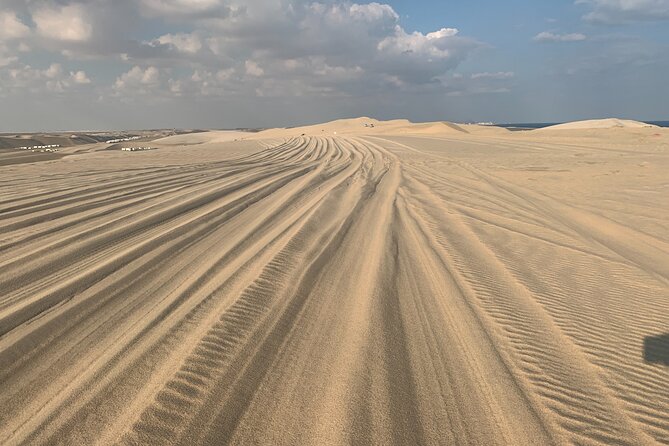 Doha : Night Desert Safari | Transit Safari | Camel ride | Dune Bashing - Price and value: what you’re really paying for at $59