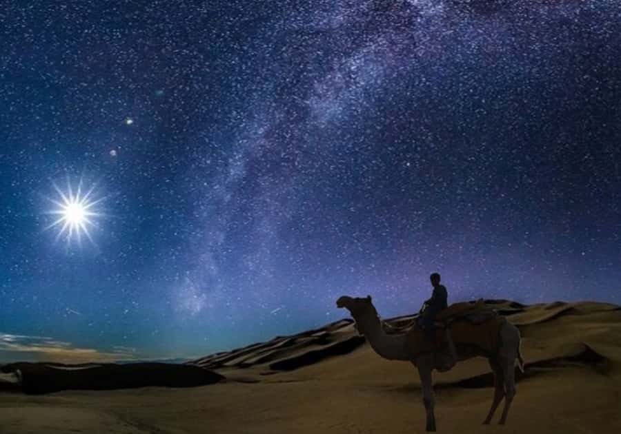 Doha: Night Desert Safari with Stargazing & Camel Ride - Key things that make this safari worth your time