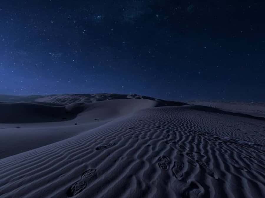 Doha: Night Desert Safari with Stargazing & Camel Ride - Night Desert Safari in Doha: what the experience really feels like