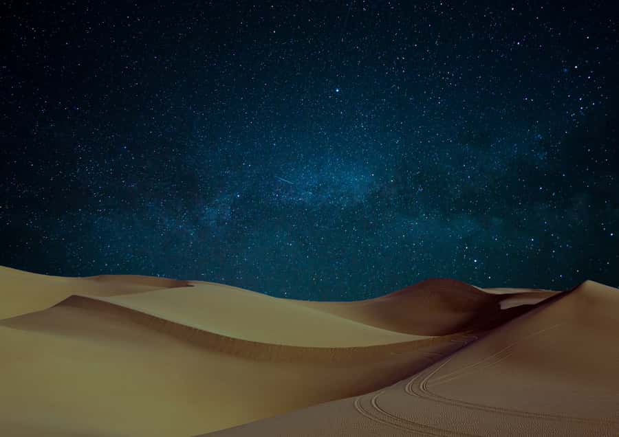 Doha: Night Desert Safari with Stargazing & Camel Ride - Stargazing in Qatar’s dark: what you can realistically expect