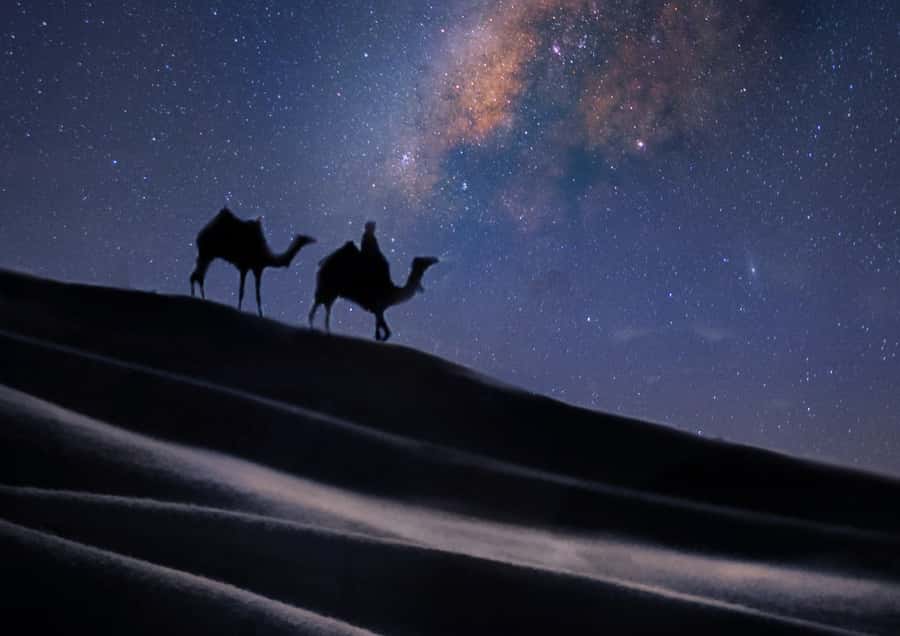 Doha: Night Desert Safari with Stargazing & Camel Ride - Price and value: is $40 a good deal for Doha at night?