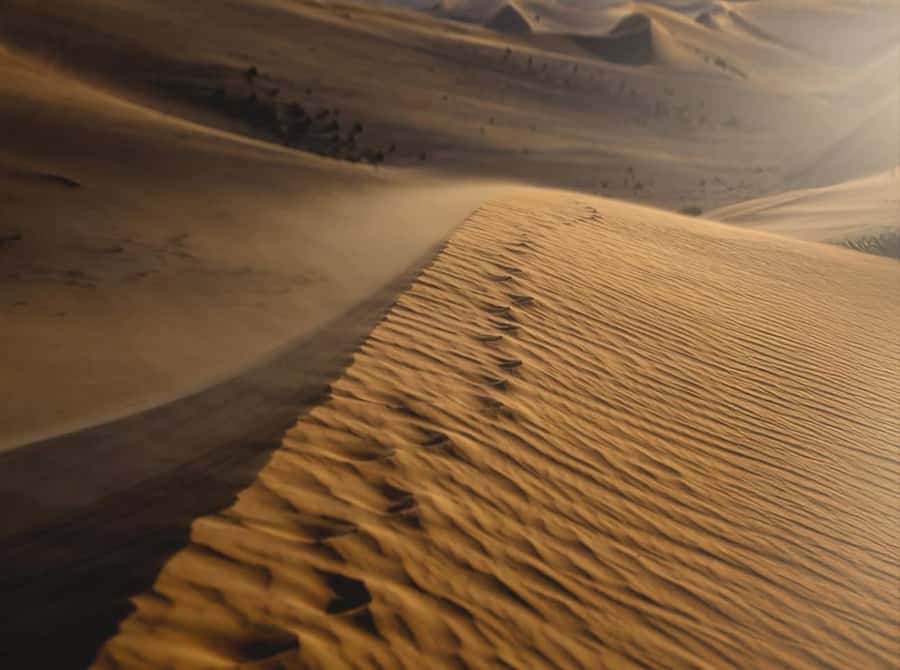 Doha: Nighttime Desert Safari with Dune Bashing & Camel Ride - Ash Shaqra’ / Desert Stop: Sandboarding and More Off-Road Time