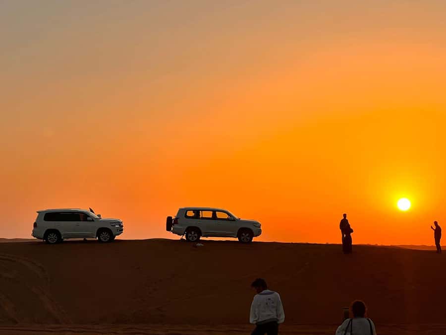 Doha: Nighttime Desert Safari with Dune Bashing & Camel Ride - Khor al Udaid (Inland Sea) at Night: Where Photos and Starlight Actually Make Sense