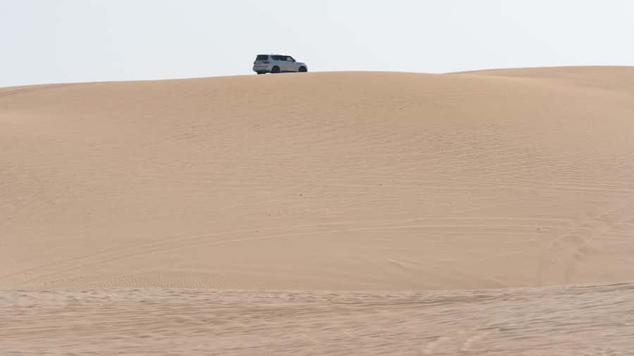 Doha:Private Desert Safari, Falcon, Sandboarding,inland sea - Sealine Beach Resort Stop: Camel Ride and Quick Photo Time