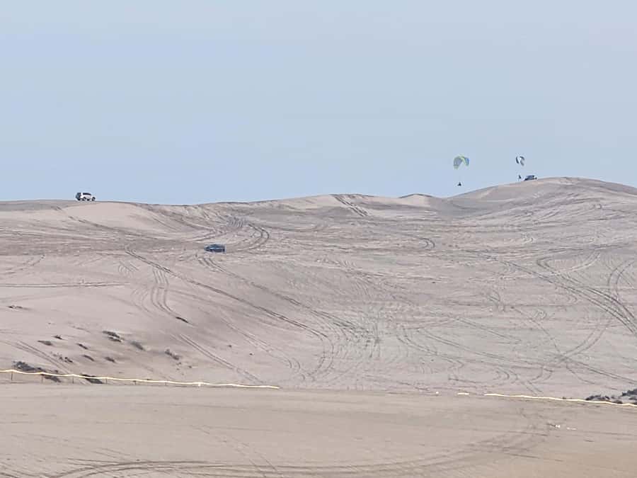 Doha:Private Desert Safari, Falcon, Sandboarding,inland sea - Traditional Refreshments and the Inland Sea Visit That Breaks Up the Thrill