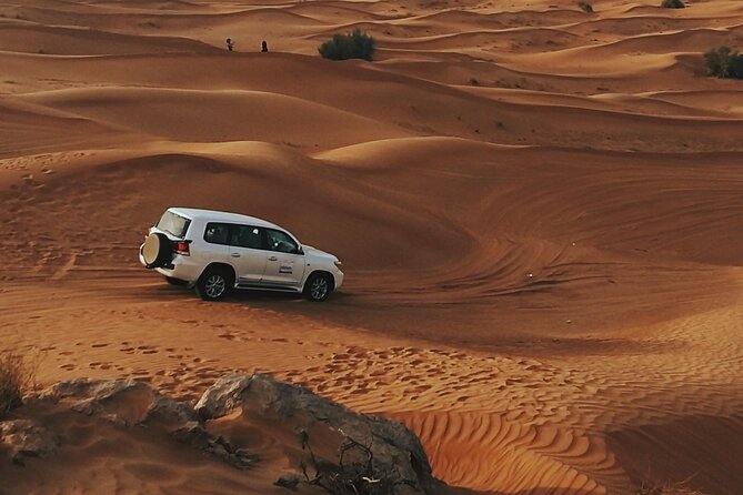 Doha Private Half-Day Guided Desert Safari Tour - Stop One: Sealine Beach for Camels, Tea, and Dune Photos