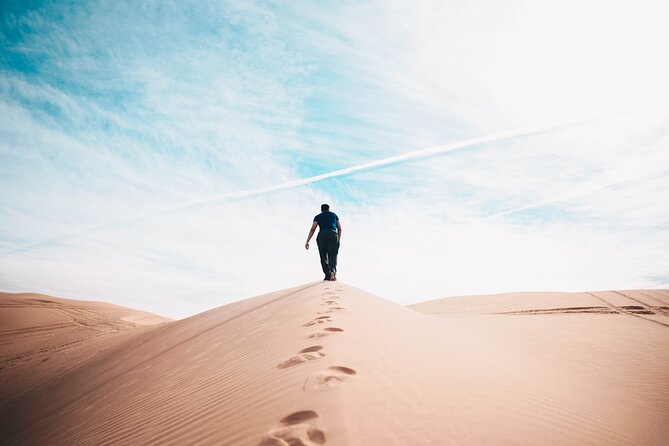 Doha Private Half-Day Guided Desert Safari Tour - What to Watch for on the Day (So You Enjoy It More)