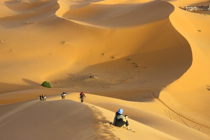 Doha Private Half-Day Guided Desert Safari Tour - Sandboarding and the Dune-Top Photo Effect