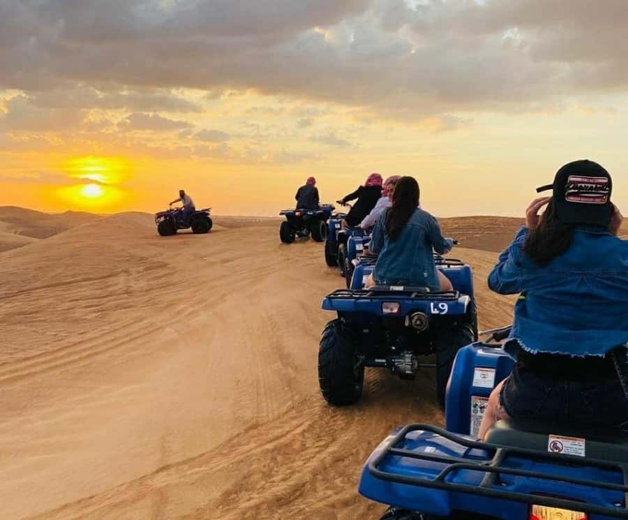 Doha: Relax Desert Safari, Camel Ride, Inland Sea, Swimming - Dune Bashing and Camel Riding: The Adrenaline Part