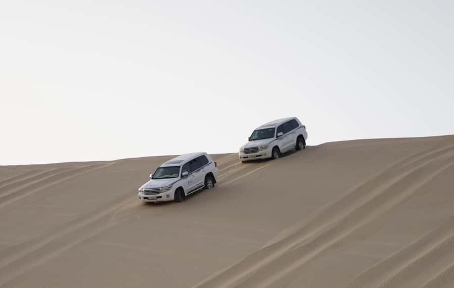 Doha: Safari, ATV, Camels, Sandboarding and Inland Sea Tour - Sandboarding: When You Trade Fear for Foot Straps