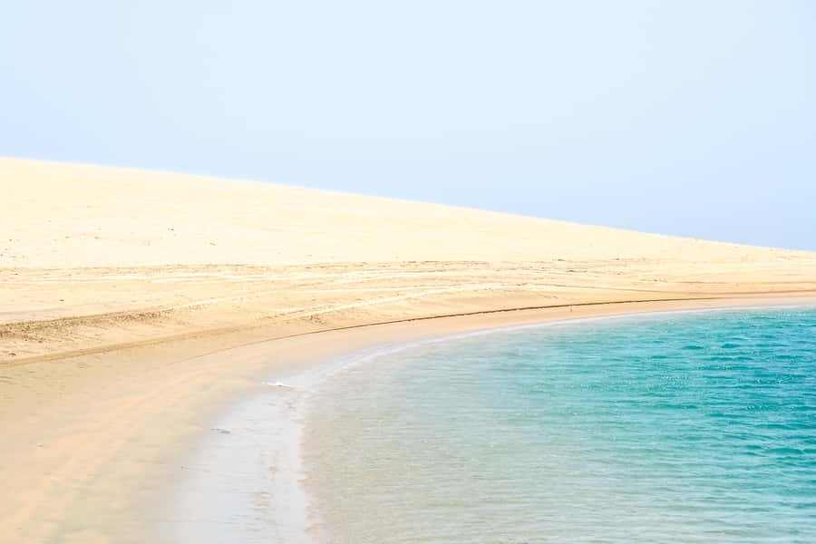 Doha: Safari, ATV, Camels, Sandboarding and Inland Sea Tour - Guides and the Feel of the Small Details